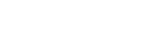 SKYY Vodka logo