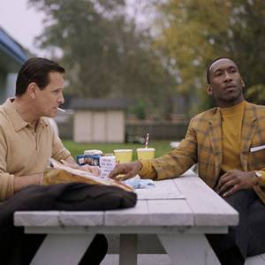 Wild Turkey Bold Cinema Series