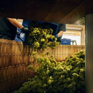 Cellar Master & General Manager, Champagne LALLIER 